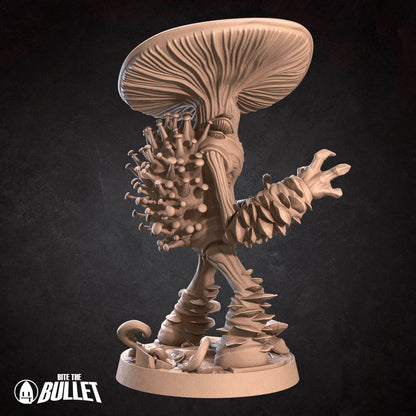 Big Myconid, Marshland Minion.