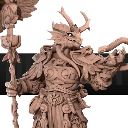 Dragonborn Druid