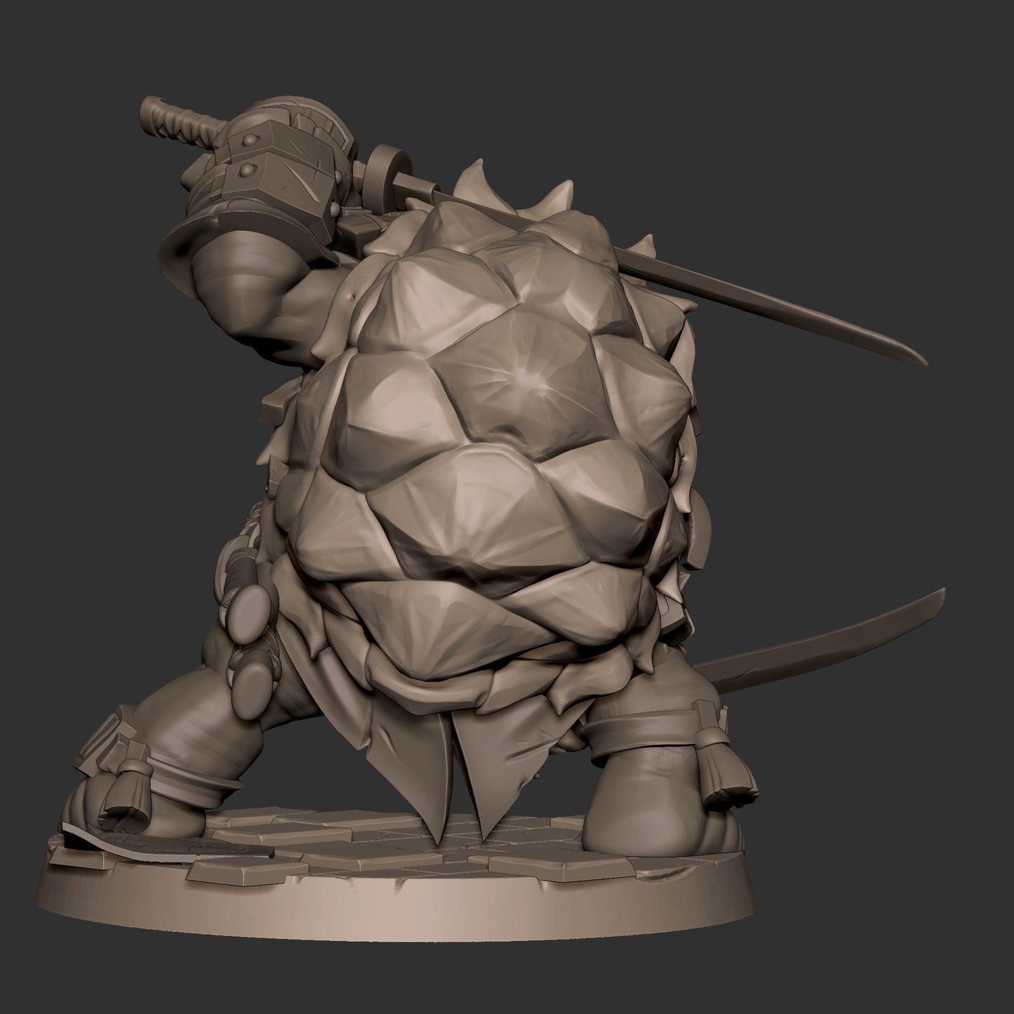Turtle Ninja