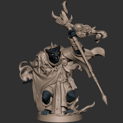 Tabaxi Warlock