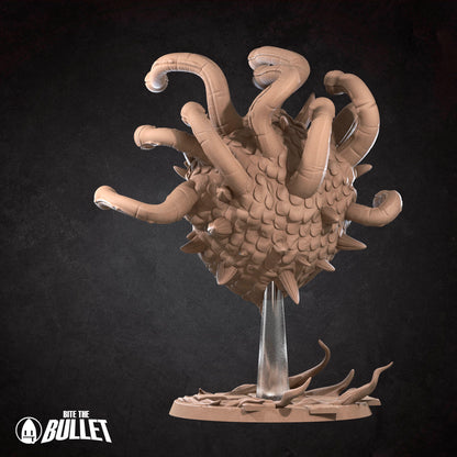 Beholder