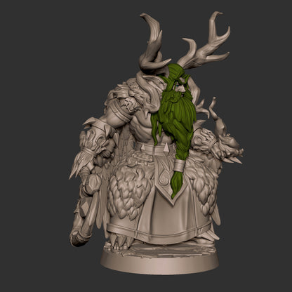 Druid Night Elf