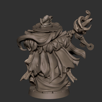 Human Wizard