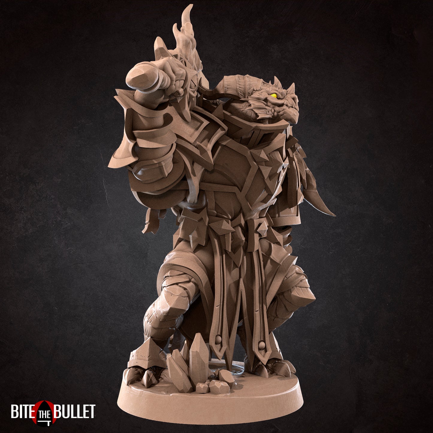 Dragonborn Paladin