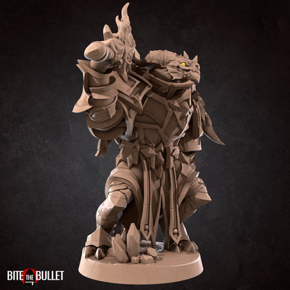 Dragonborn Paladin