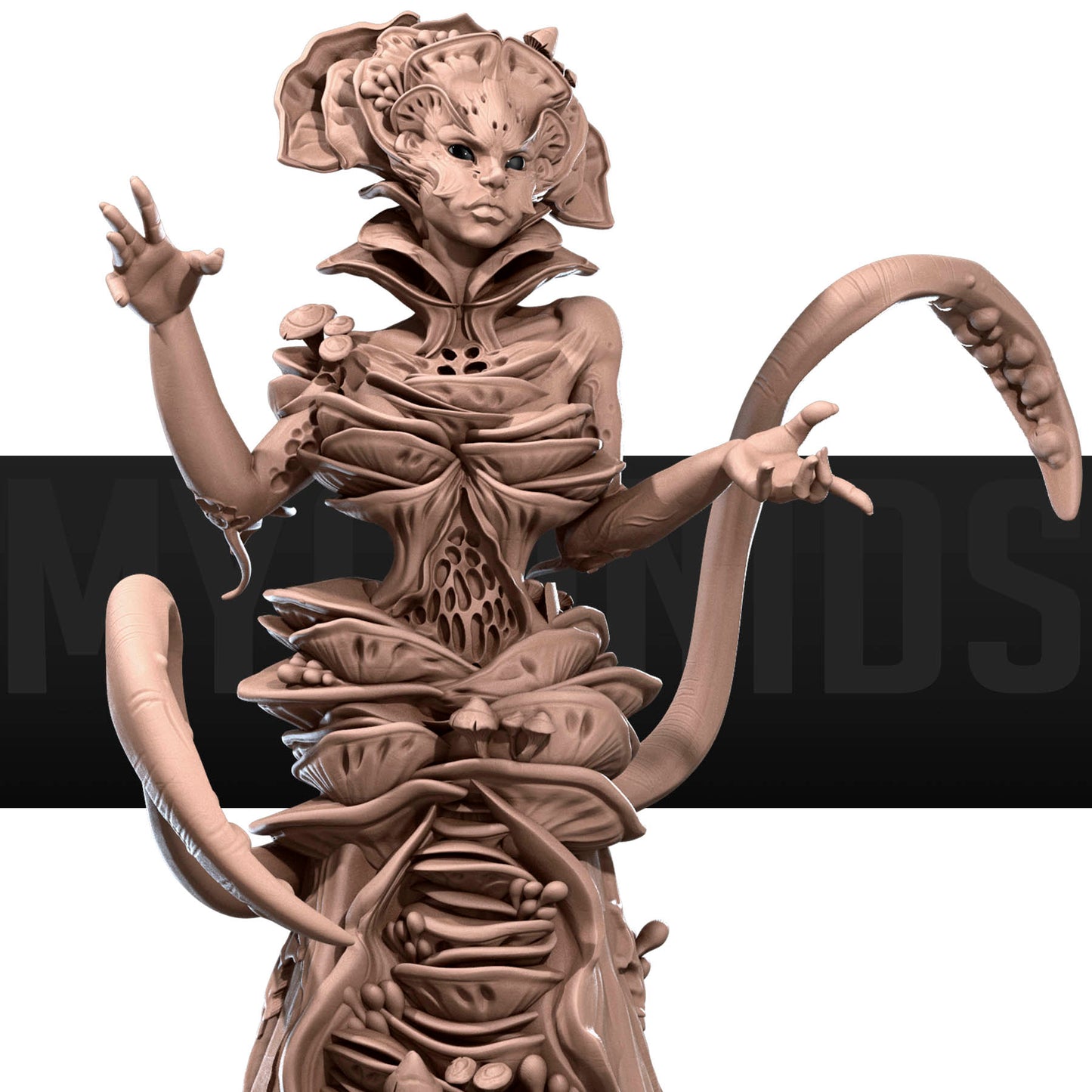 Zuggy, Queen of Fungi