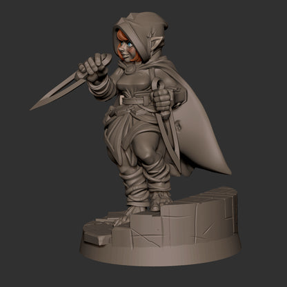 Halfling Rogue