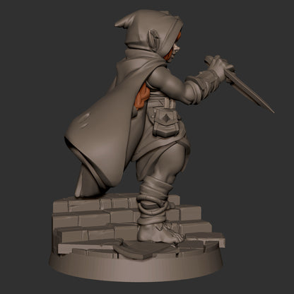 Halfling Rogue
