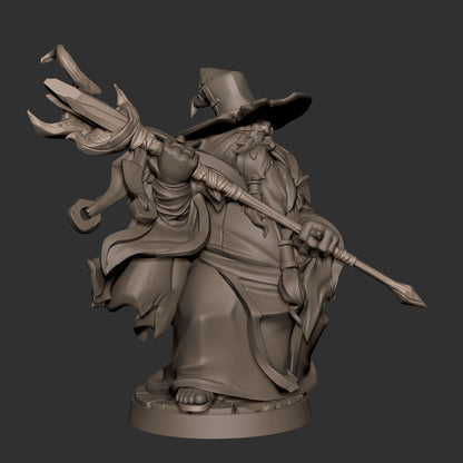 Human Wizard