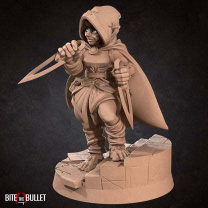 Halfling Rogue