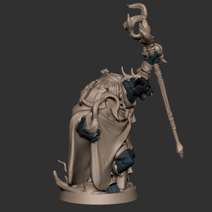 Tabaxi Warlock