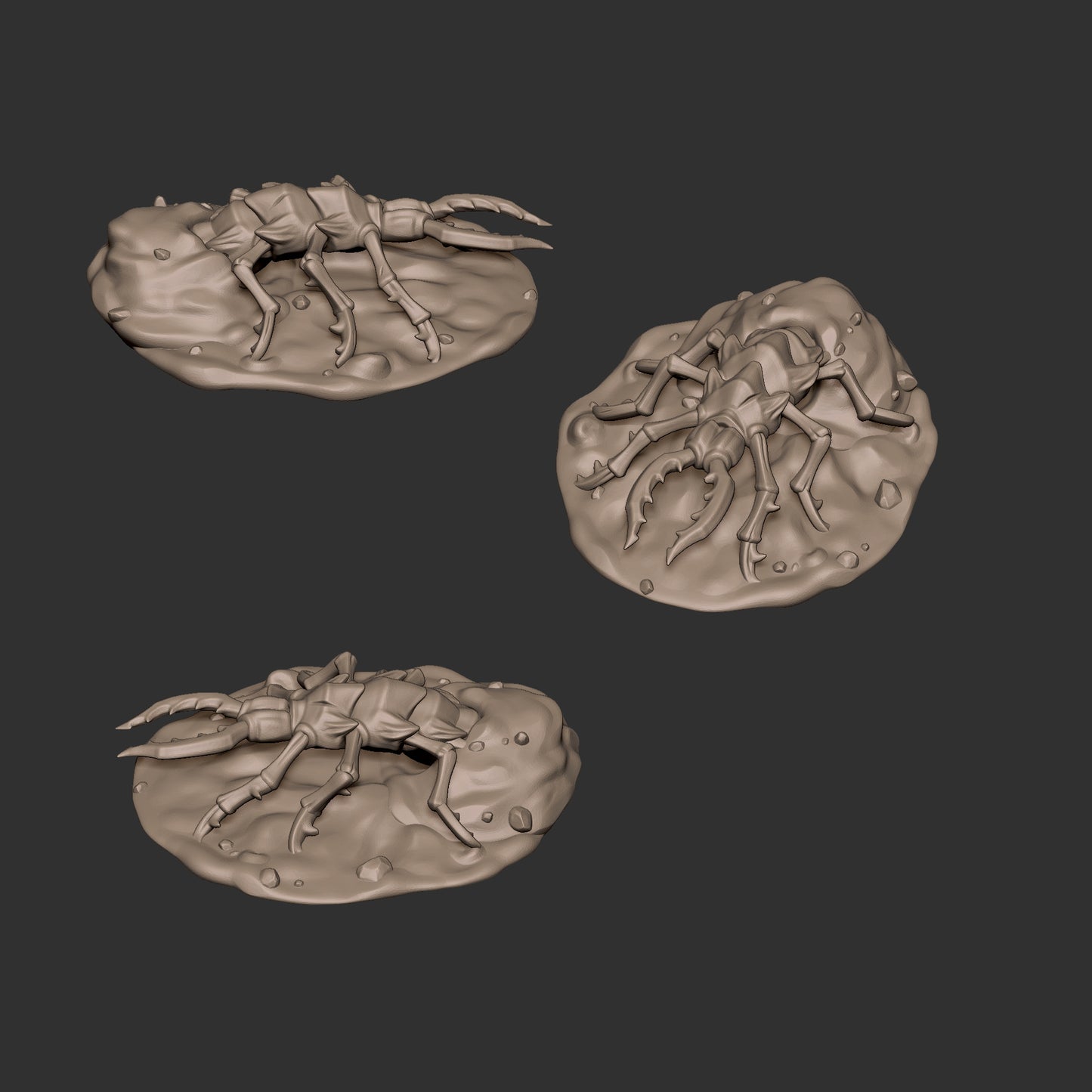 Sand Maggots