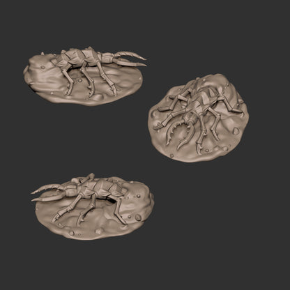 Sand Maggots