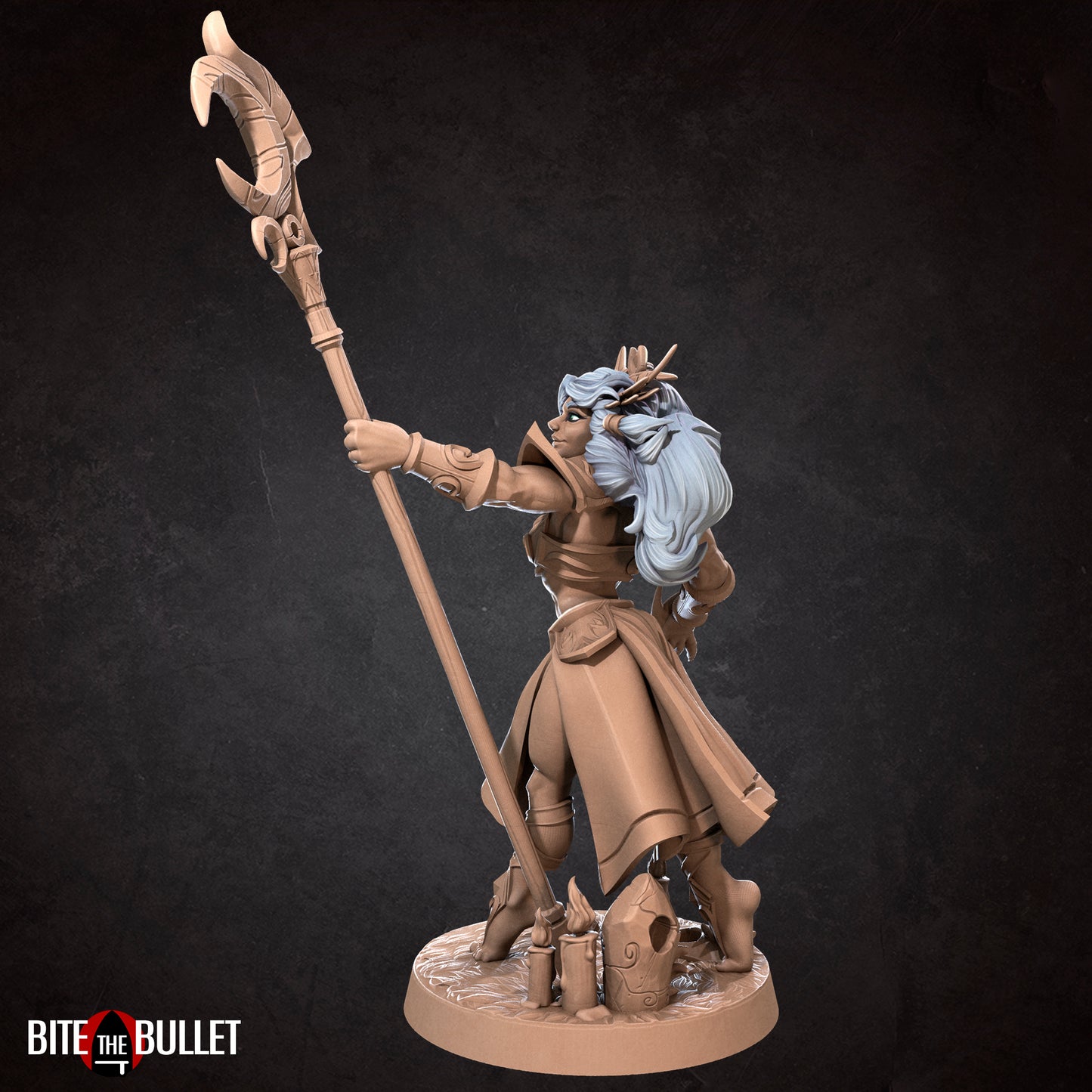 Sorceress Night Elf