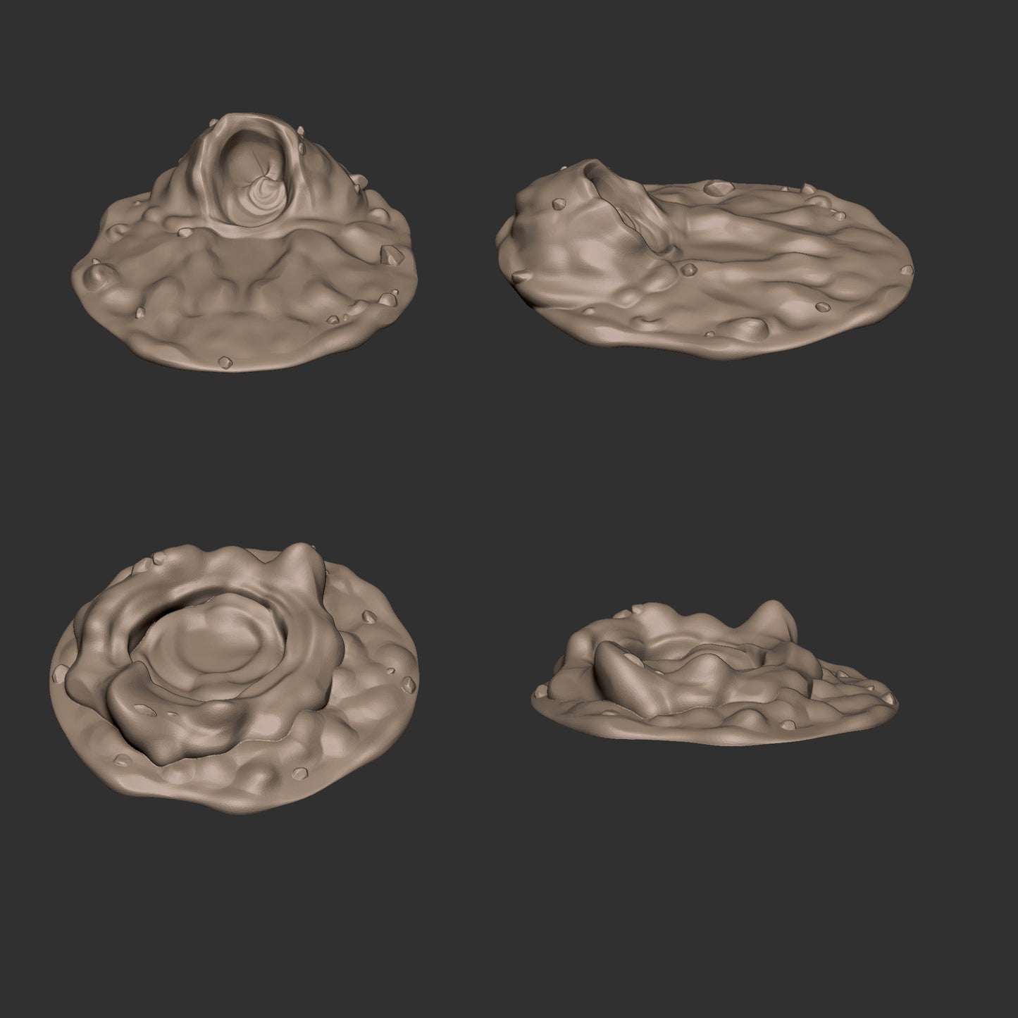 Sand Maggots