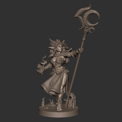 Sorceress Night Elf