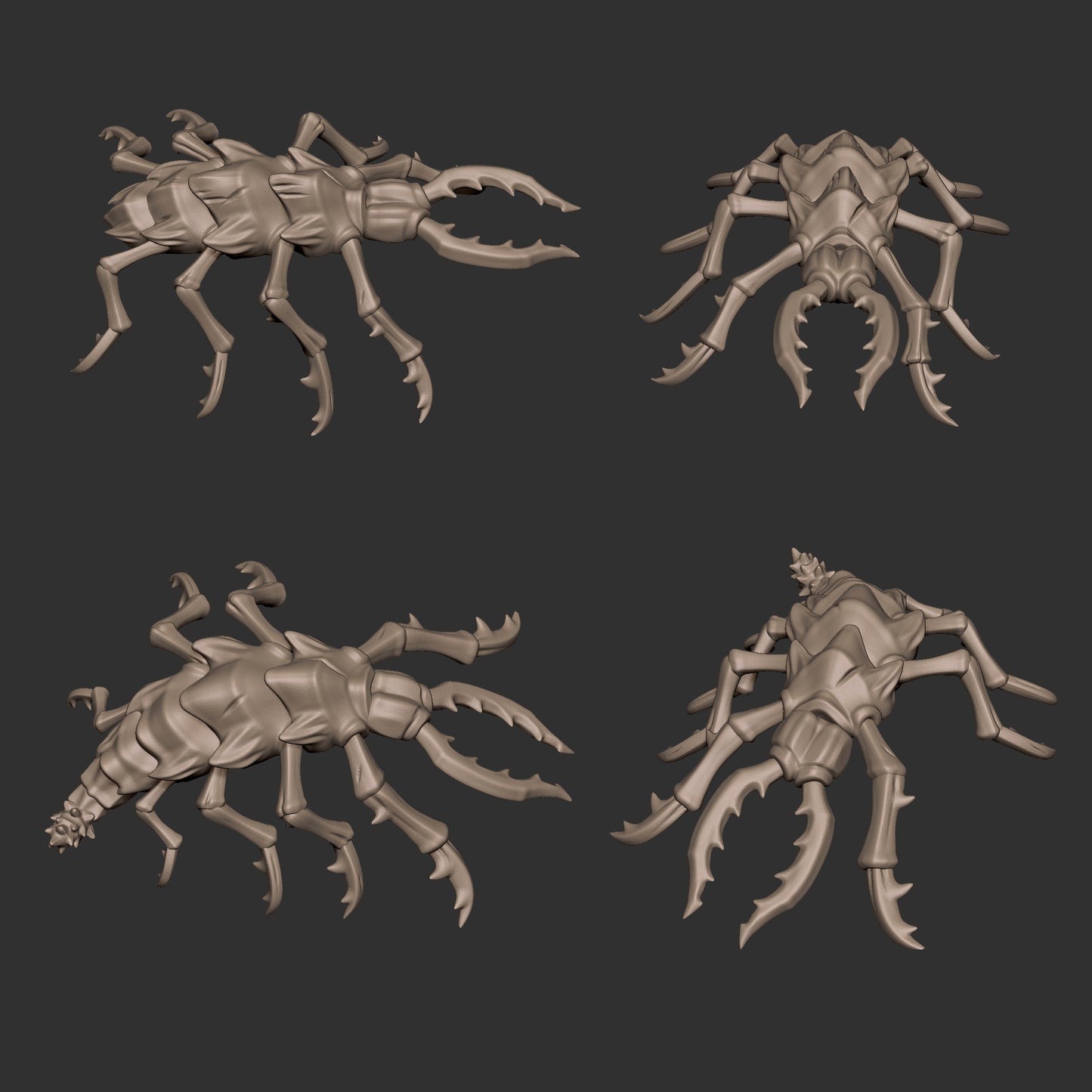 Sand Maggots