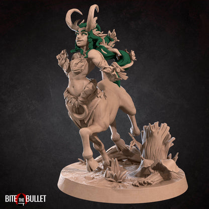 Centaur Dryad Druid
