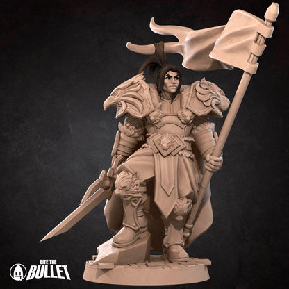 Alliance High King Warrior