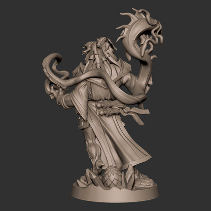 Dragonborn Wizard