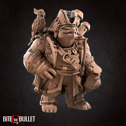 Tortle Pirate