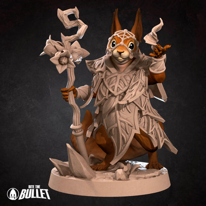 Squirrelfolk Sorceress