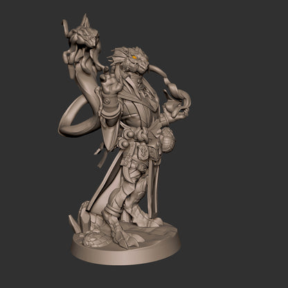 Dragonborn Wizard