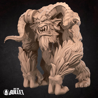 Yeti
