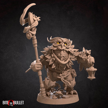 Owlfolk