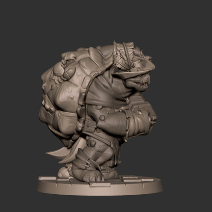 Tortle Bard