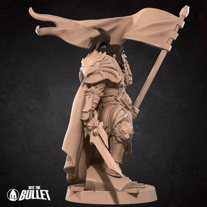 Alliance High King Warrior