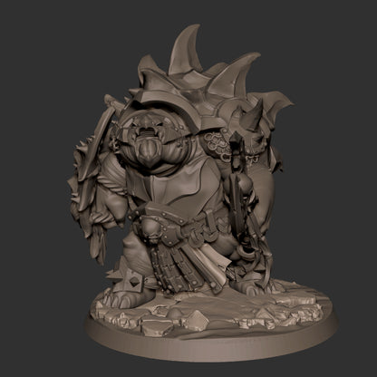 Tortle Warrior