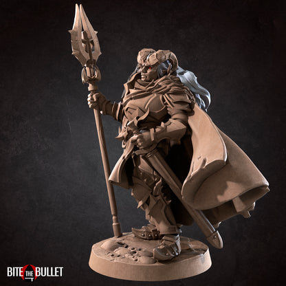 Tiefling Paladin Oathbreaker