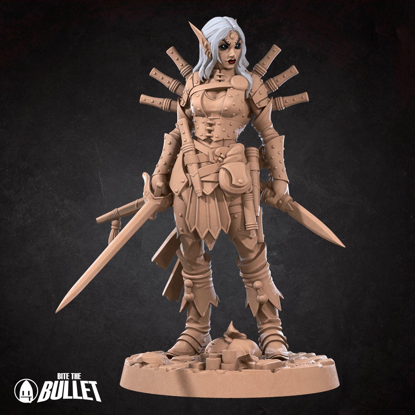 Elf Rogue