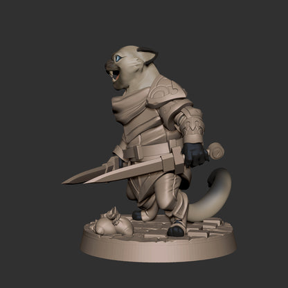 Catfolk Rogue