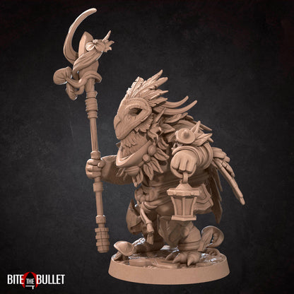 Owlfolk Druid