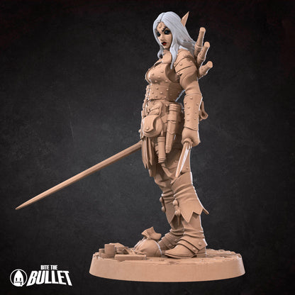 Elf Rogue