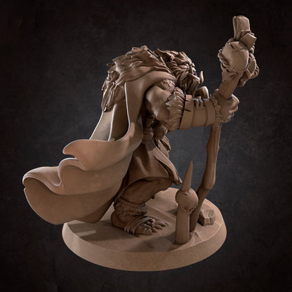 Bugbear Shaman