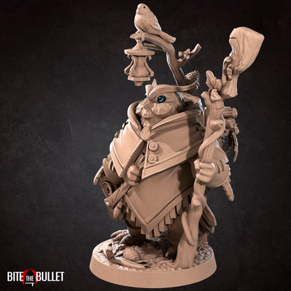 Owlfolk Druid