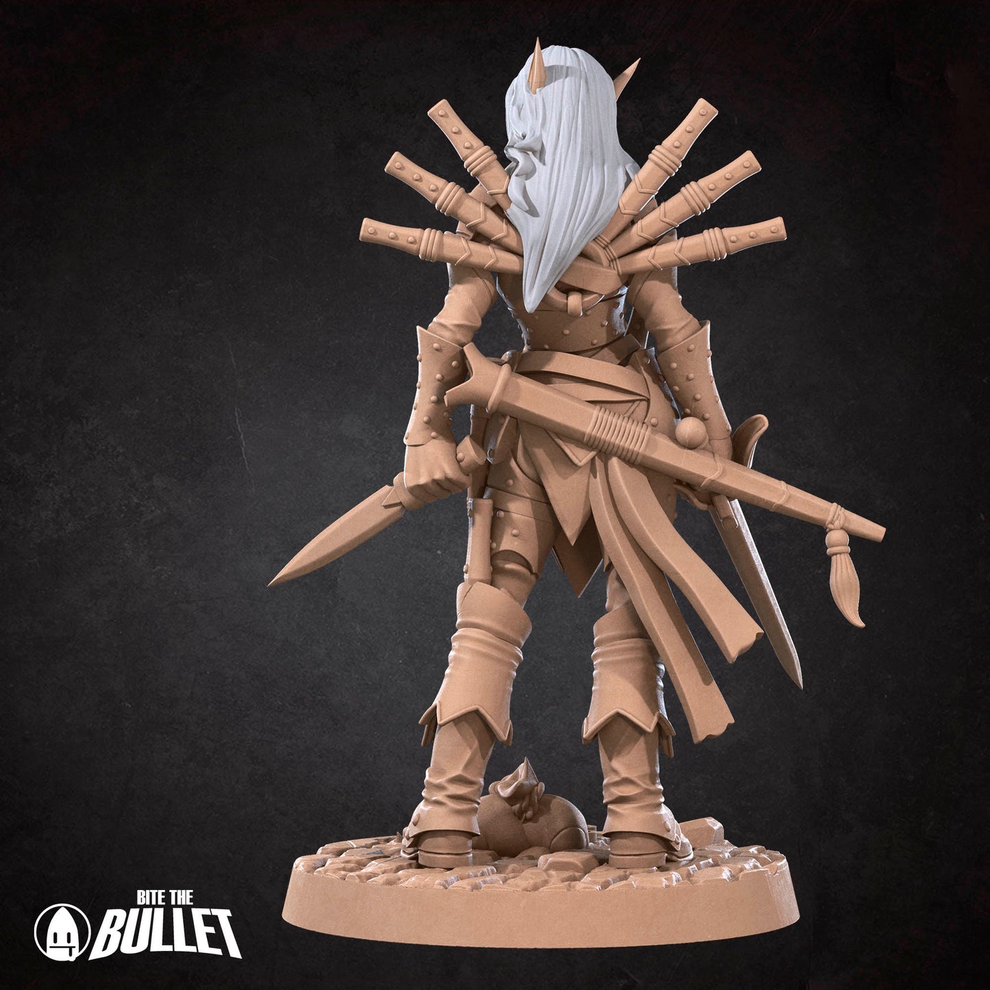 Elf Rogue