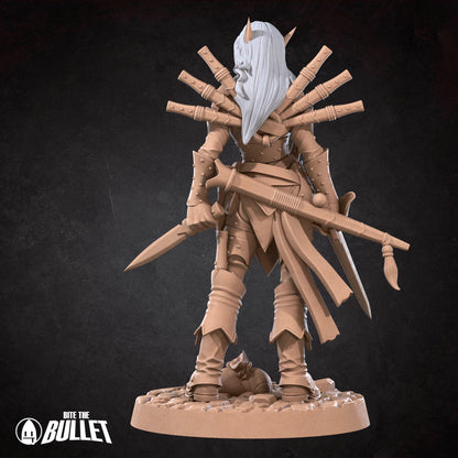 Elf Rogue
