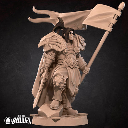 Alliance High King Warrior