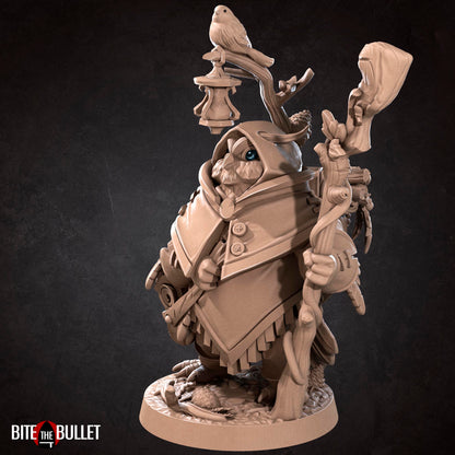 Owlfolk Druid