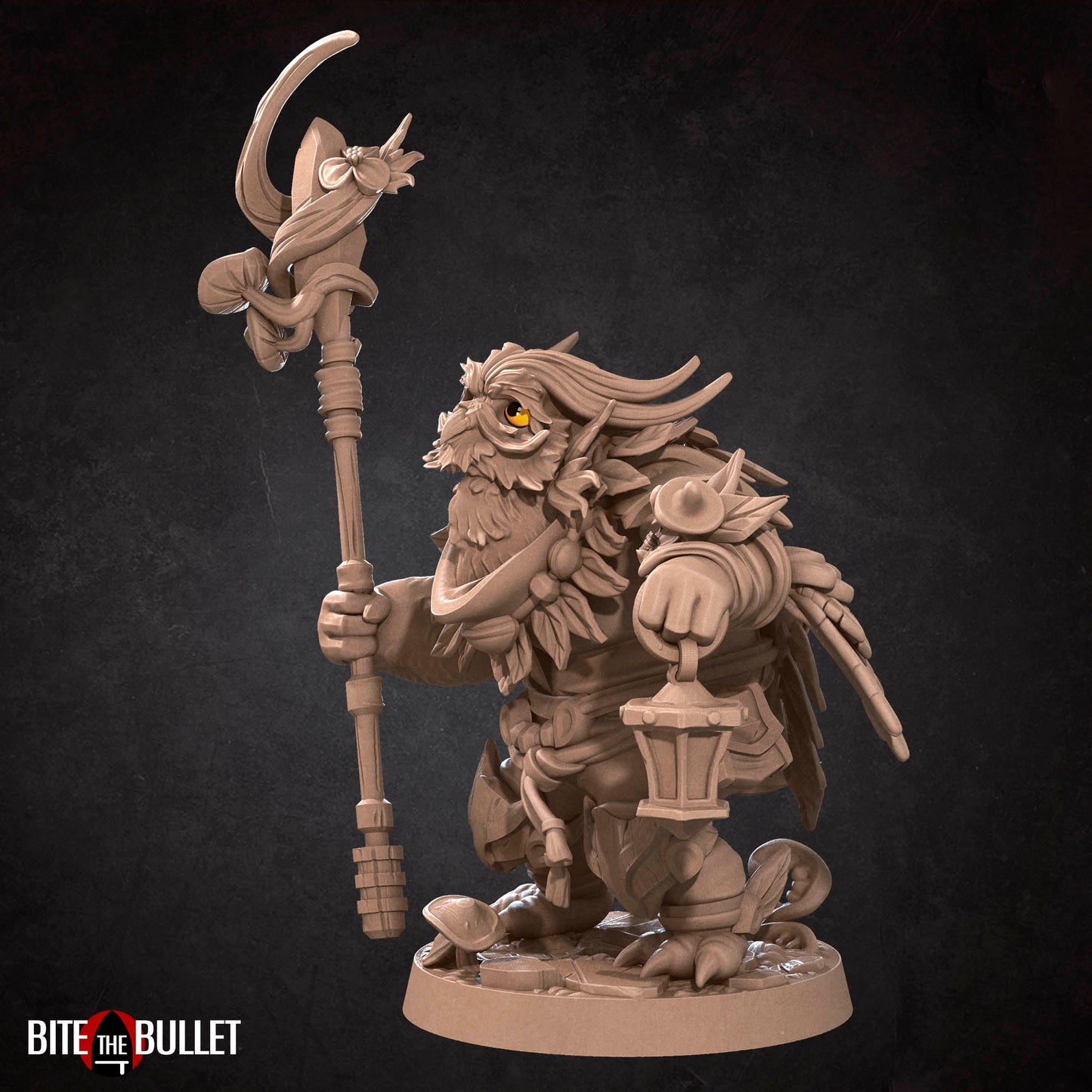 Owlfolk Druid