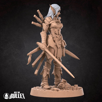 Elf Rogue