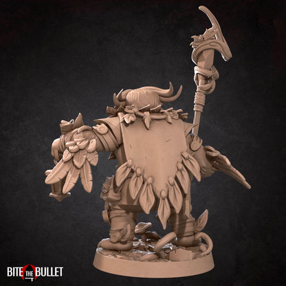 Owlfolk Druid