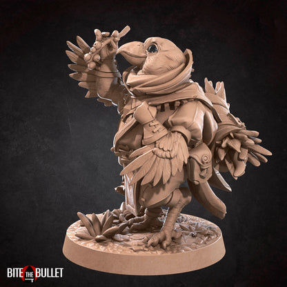 Berry, the Kenku Forager