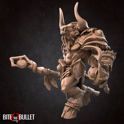Minotaur Druid