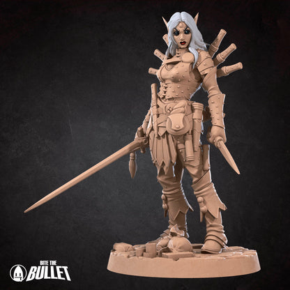Elf Rogue