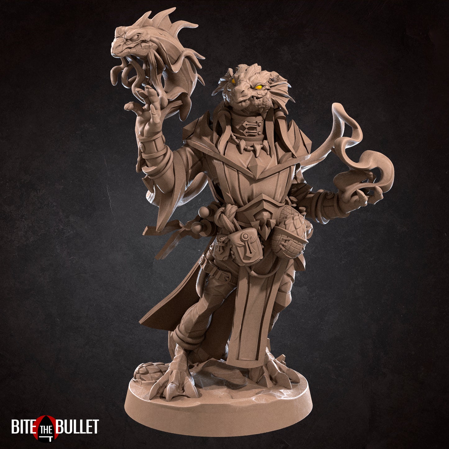 Dragonborn Wizard